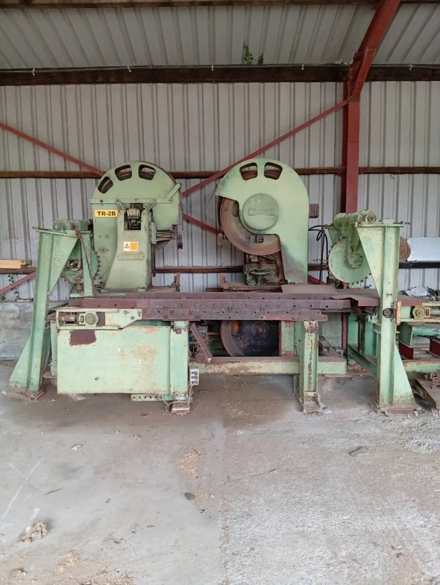 Stenner twin bandsaw - Image 4