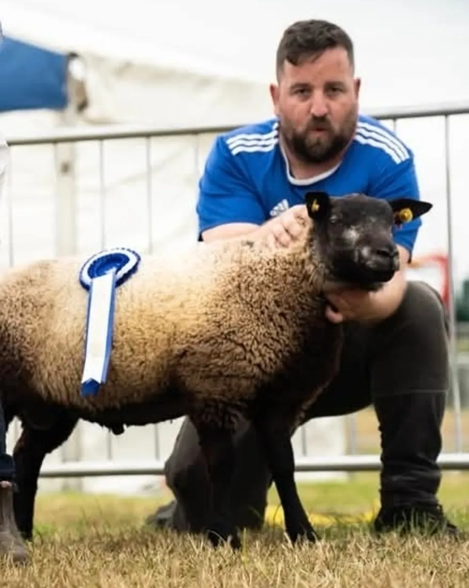 Blue Texel - Image 1