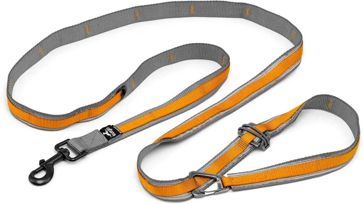Kurgo 6 in 1 Quantum Dog Leash - Image 2