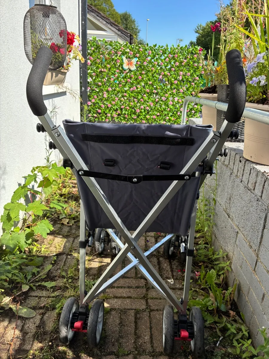 Elise excel special needs buggy - Image 2