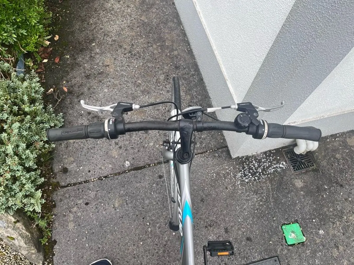 Apollo virtue ladies bike - Image 2