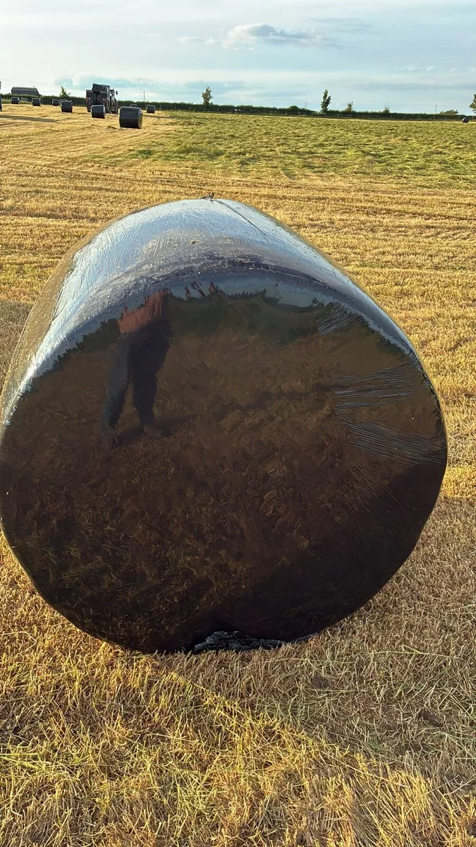 Hay & silage for sale - Image 3