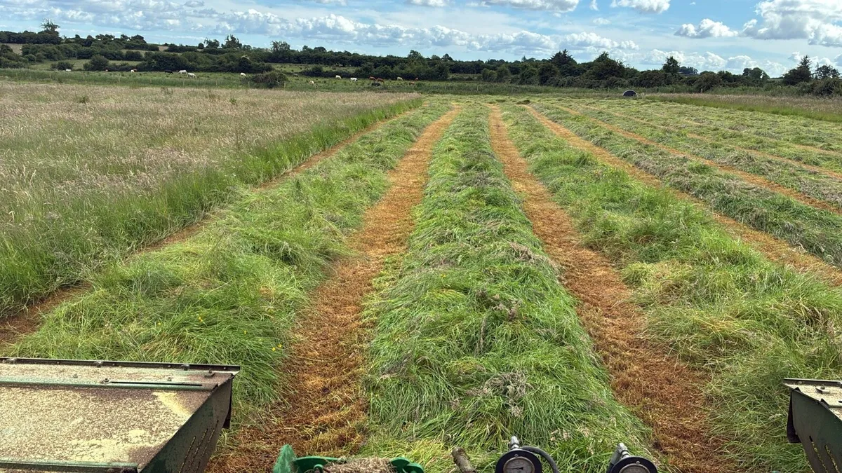 Hay & silage for sale - Image 4