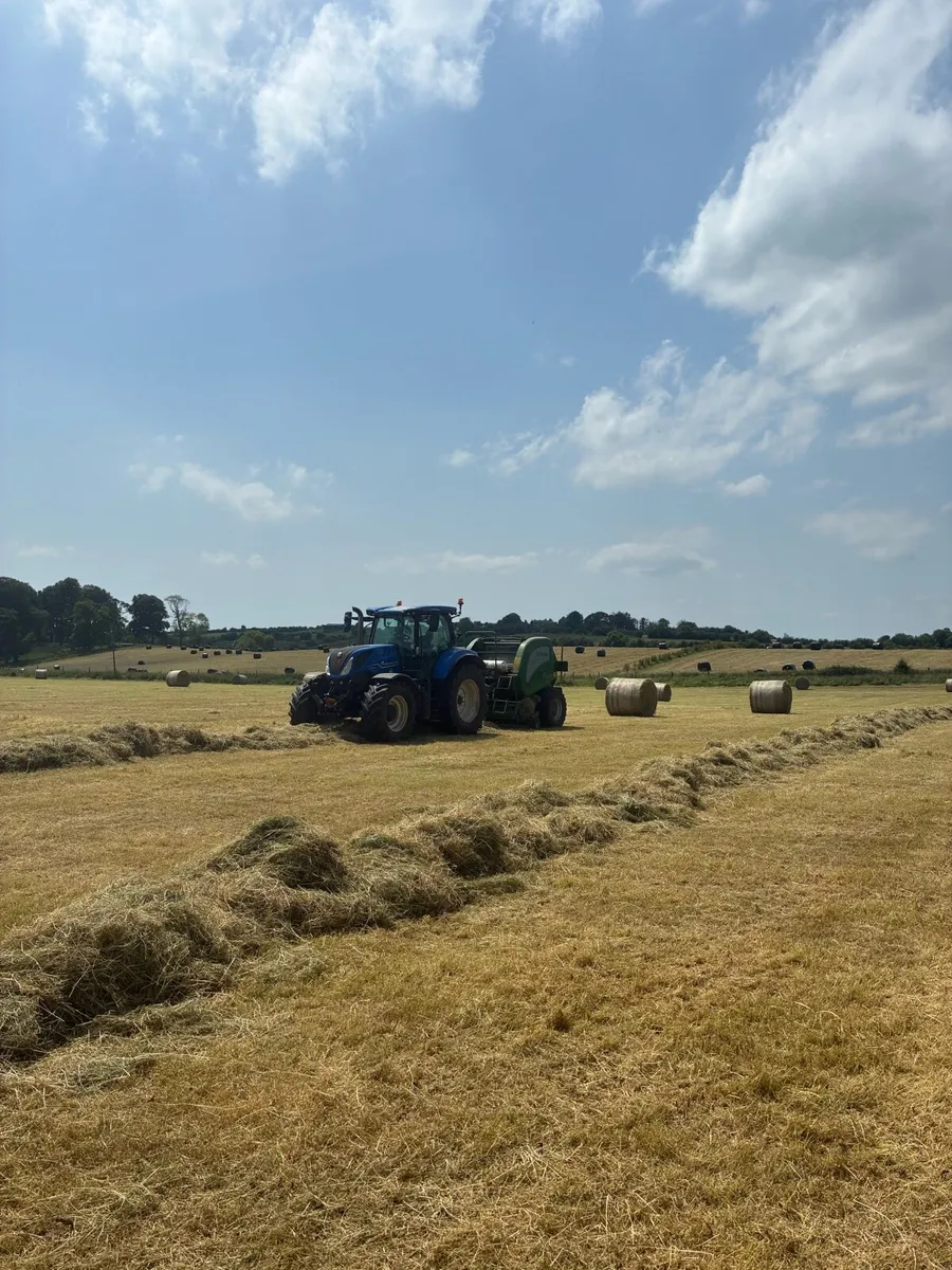 Hay & silage for sale - Image 2
