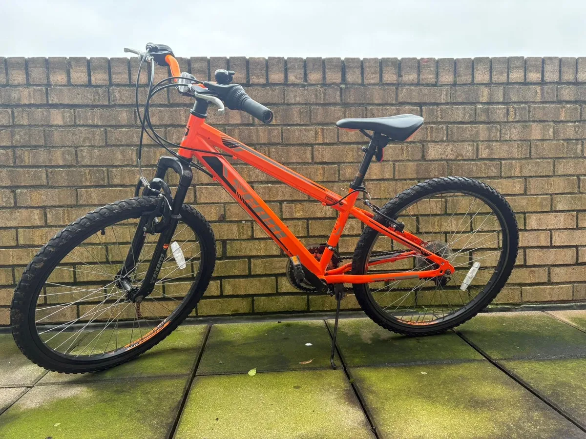 Junior Bicycle - Image 4