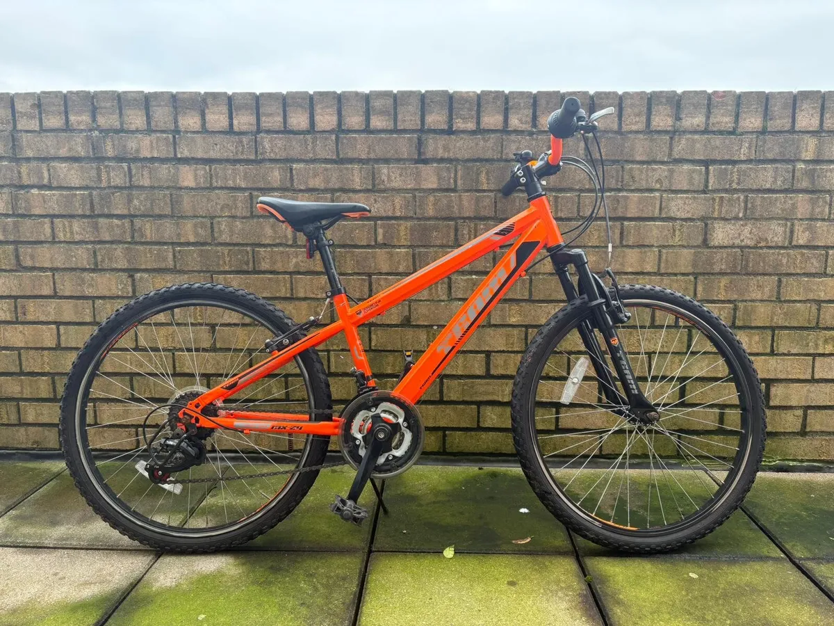 Junior Bicycle - Image 2