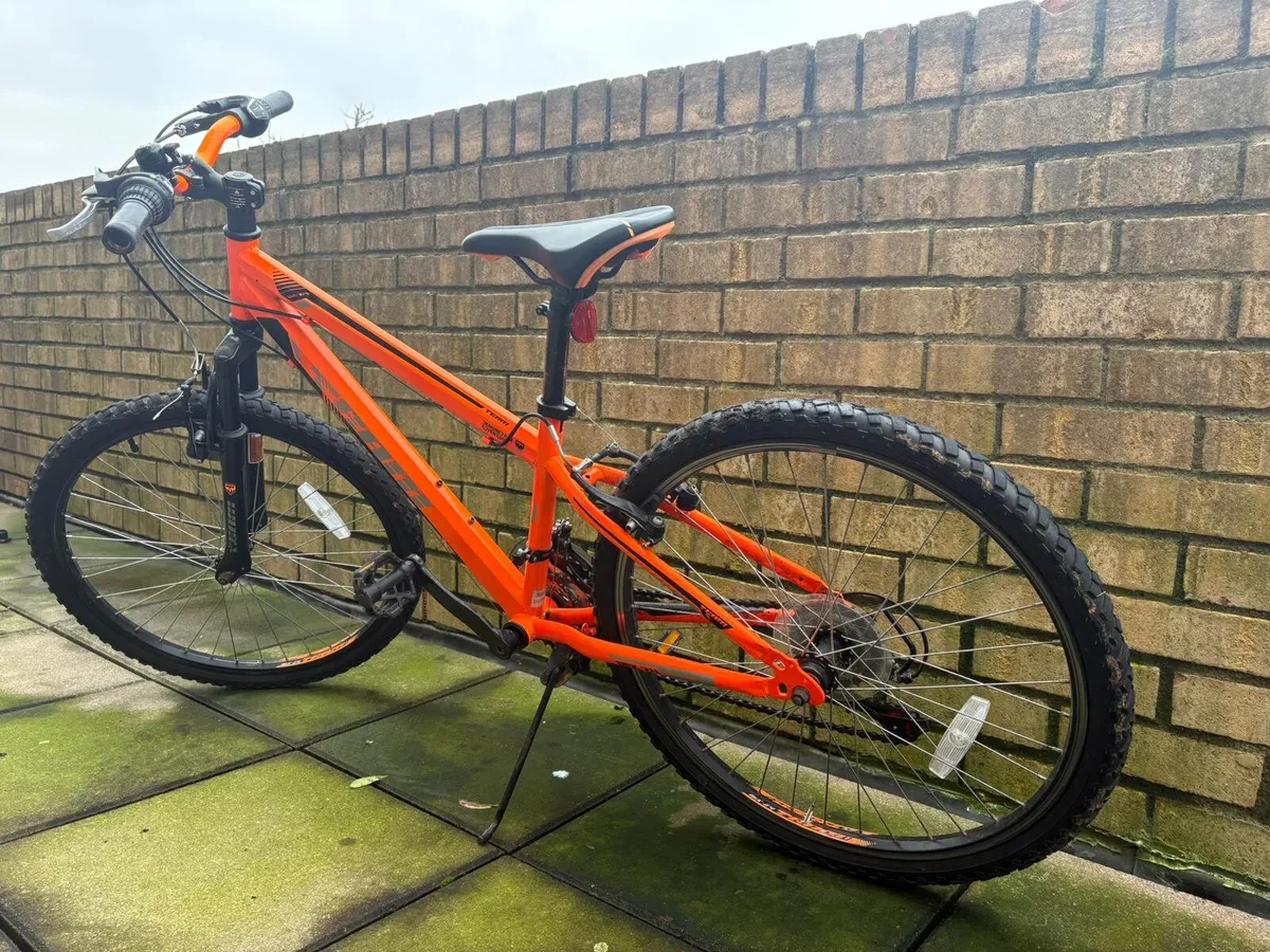 Junior Bicycle - Image 3