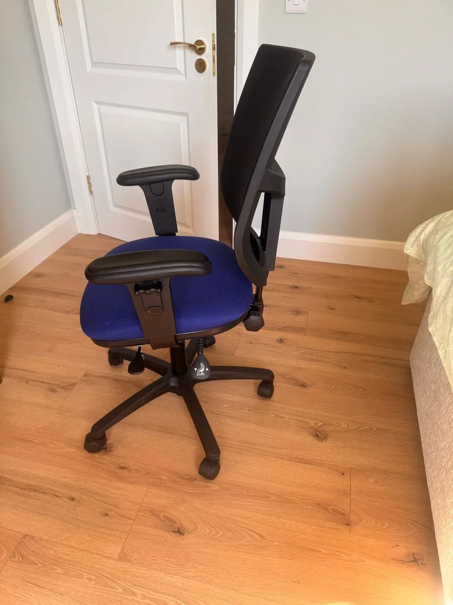 Professional Ergonomic Office Chair - Image 1