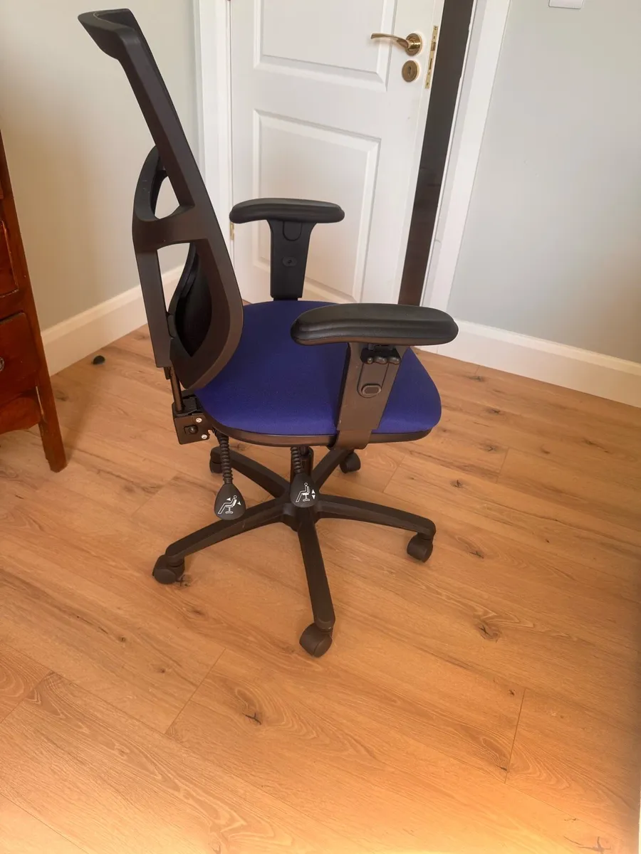 Professional Ergonomic Office Chair - Image 2