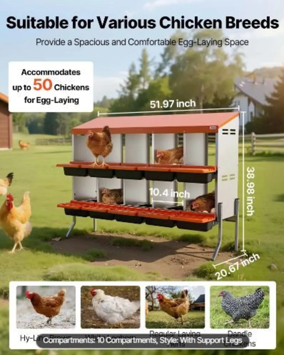 Chicken Nesting Boxes, 10 Compartments - Image 3