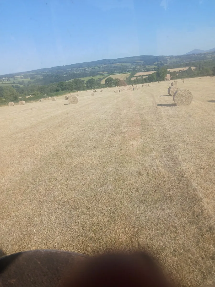 Hay bales - Image 4