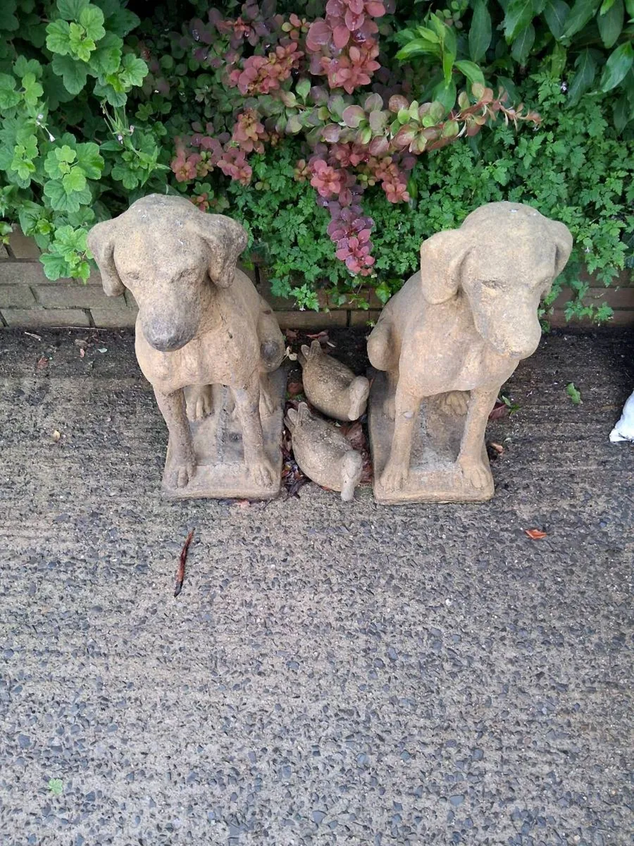Dogs for Garden - Image 1