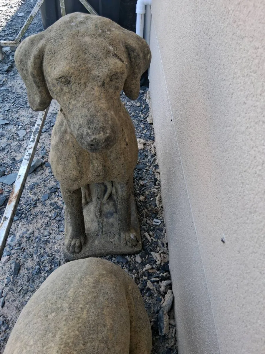 Dogs for Garden - Image 3