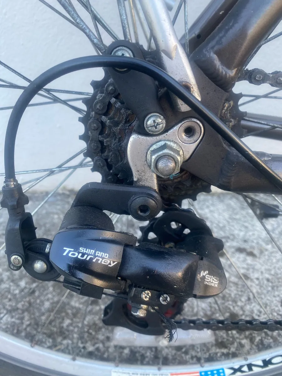 Adult bike - Image 4