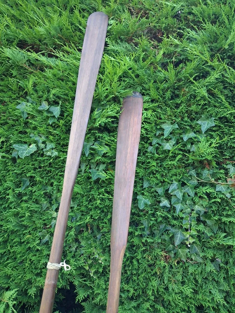 Kayak - Image 4