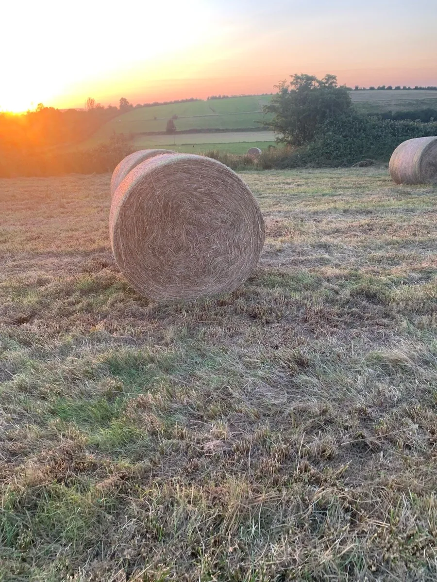 round bales of Hay/bedding - Image 1