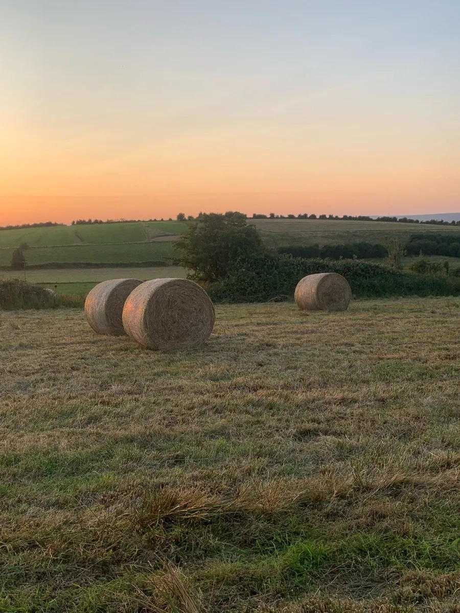 round bales of Hay/bedding - Image 2