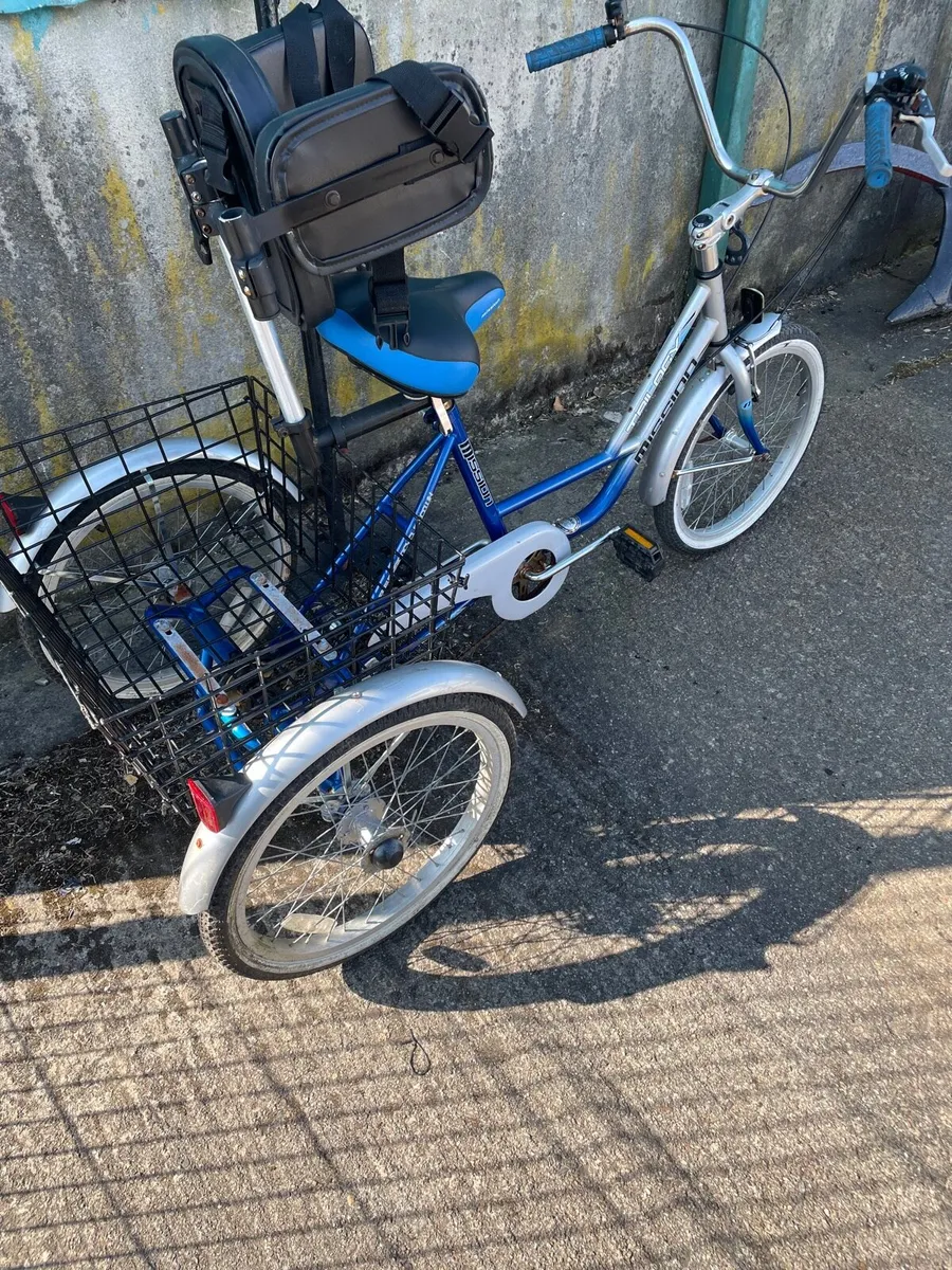Bicycle / Trike for disability - Image 2