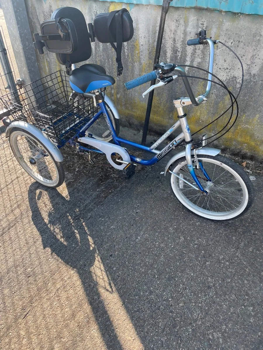 Bicycle / Trike for disability - Image 3