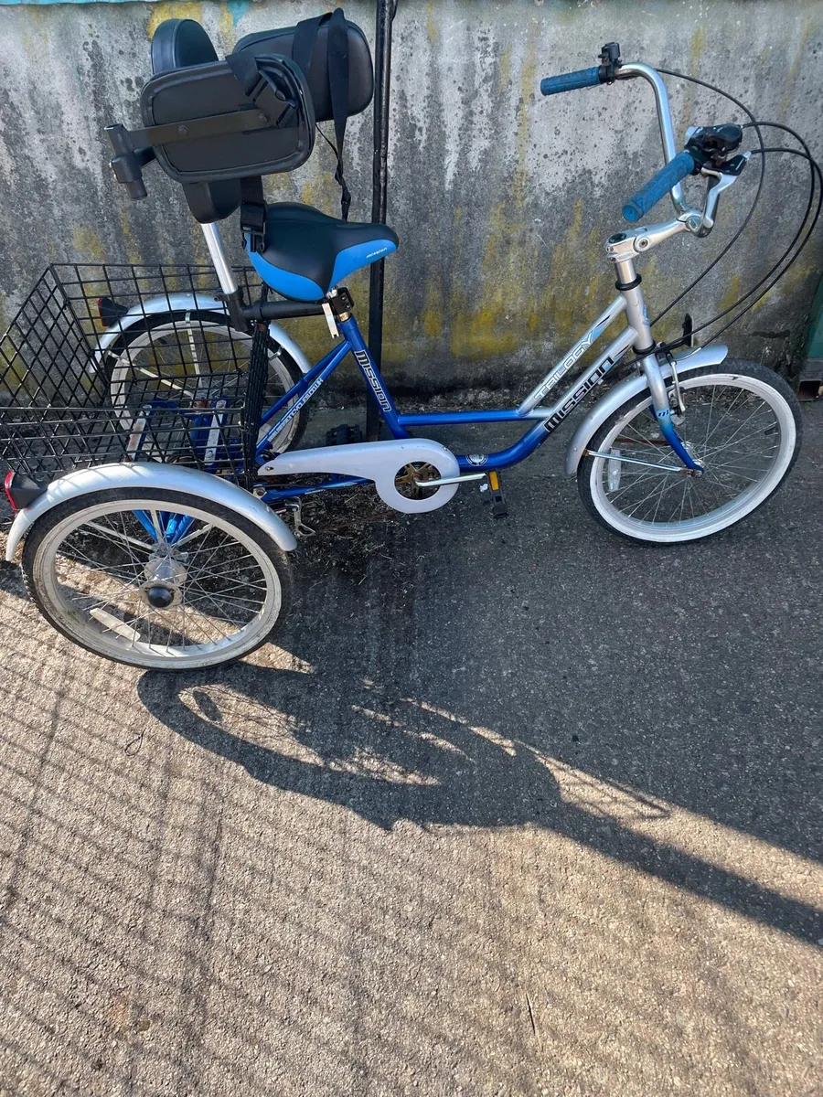 Bicycle / Trike for disability - Image 1