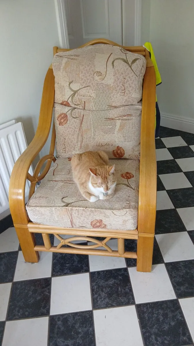Two Chairs - Image 1