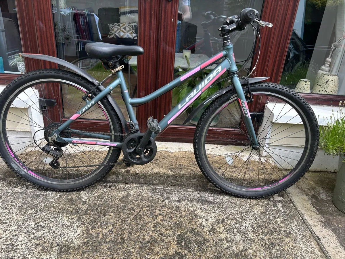 Bicycles - Image 2