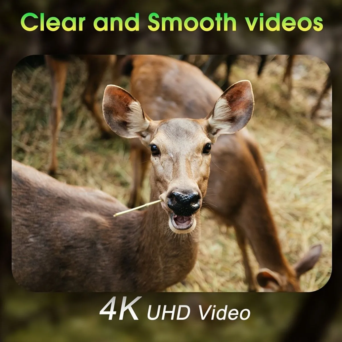 Wifi Trail Camera, 4K 64MP Memory Card - Image 3