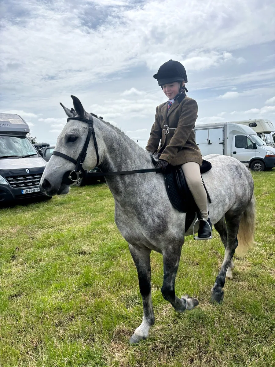 12.2 jumping pony - Image 3