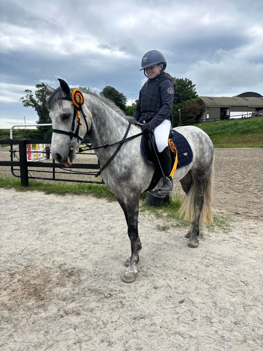 12.2 jumping pony - Image 4
