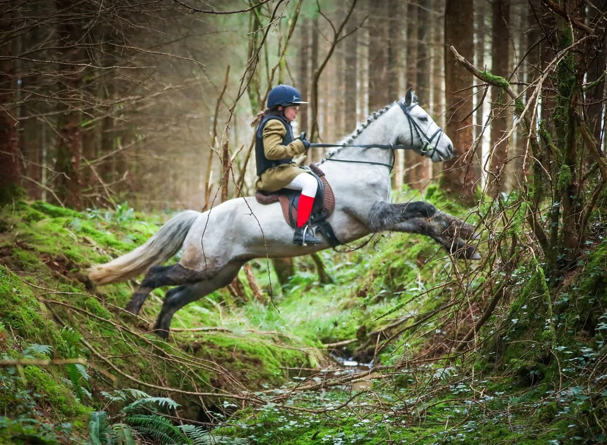 12.2 jumping pony - Image 1