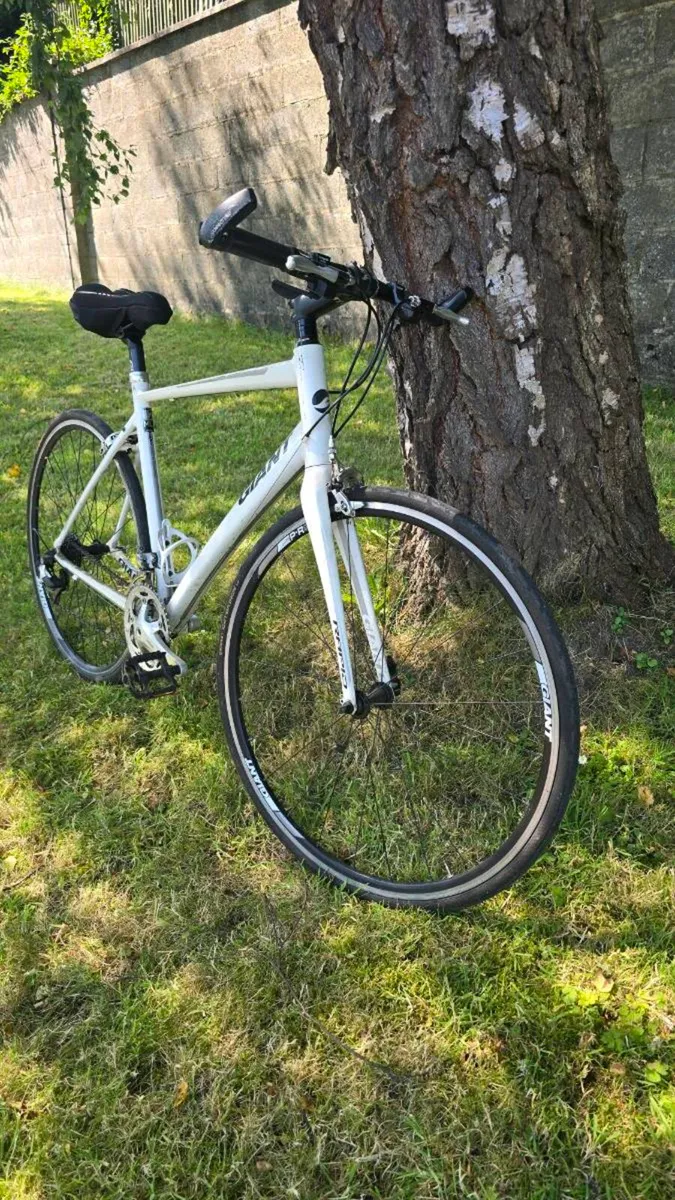 📍 GIANT Rapid Road Bike – €300 – Ennis - Image 2
