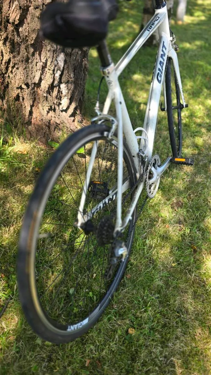 📍 GIANT Rapid Road Bike – €300 – Ennis - Image 4