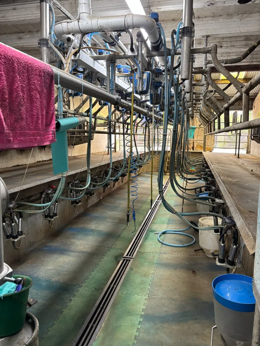 Milking Parlour - Image 1