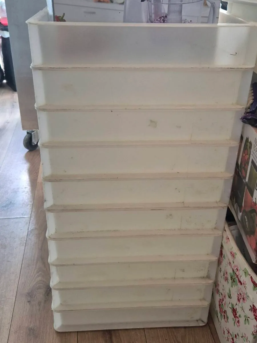 Pizza trays x10.   30cmx45.5cm - Image 2