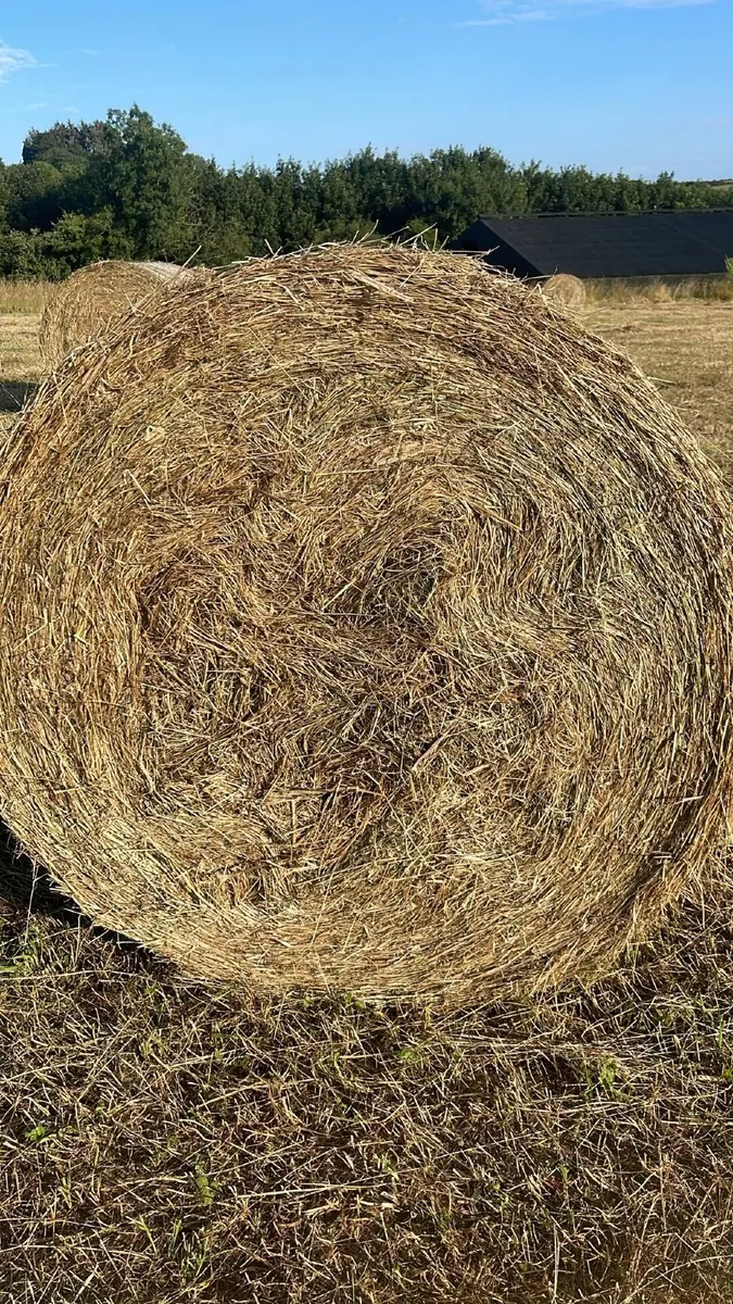 Round Hay Bales for Sale East Cork for sale in Cork for €30 on DoneDeal