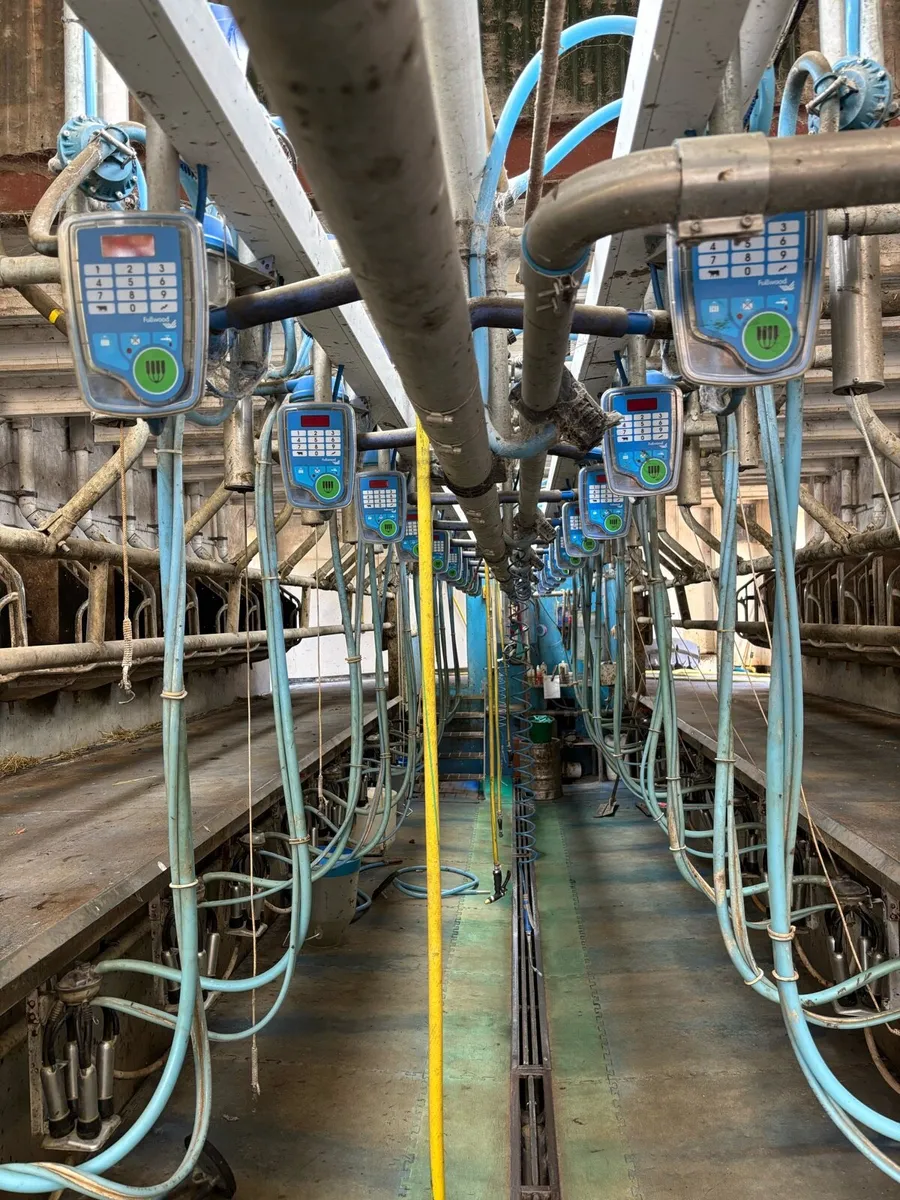 Milking Parlour - Image 3