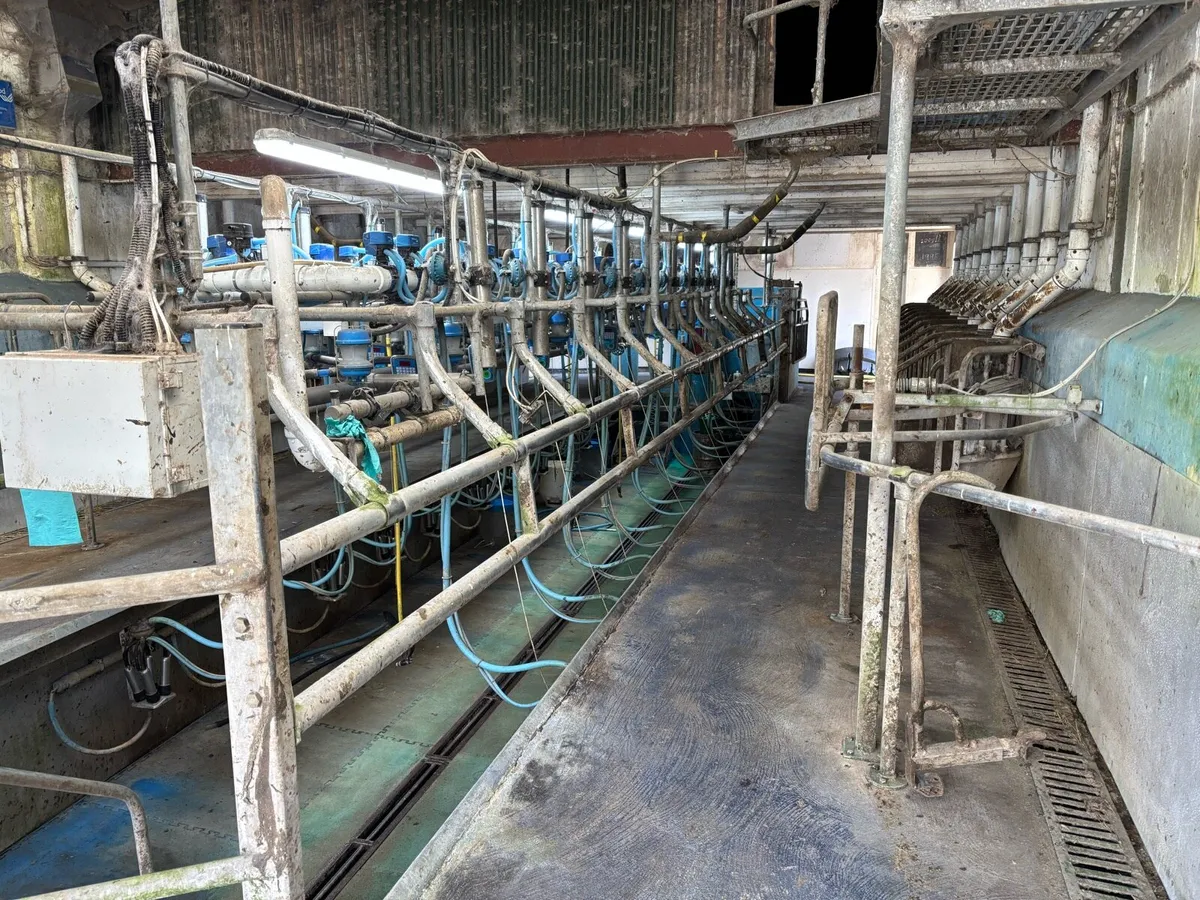 Milking Parlour - Image 4