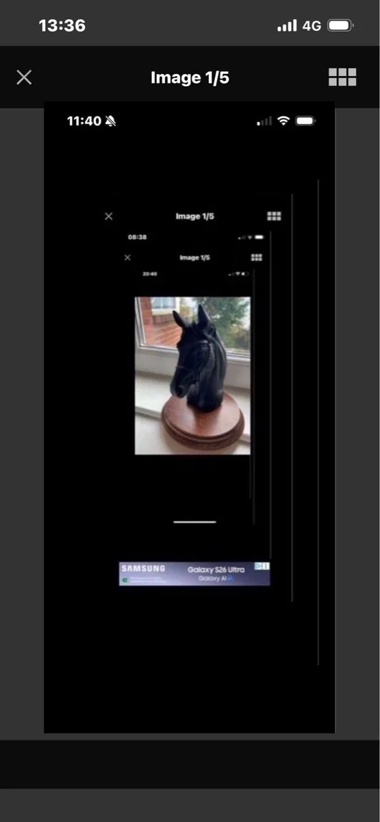 Vintage Horse Head Display - Image 2