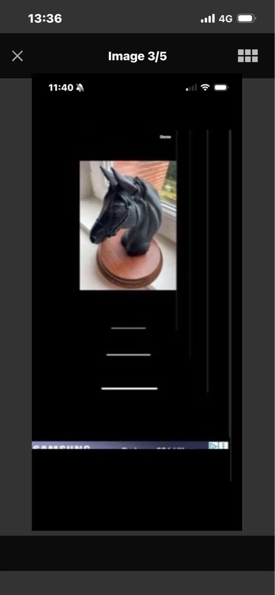 Vintage Horse Head Display - Image 3