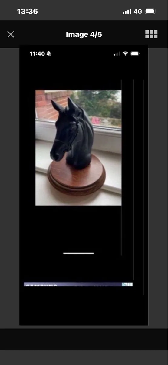 Vintage Horse Head Display - Image 4