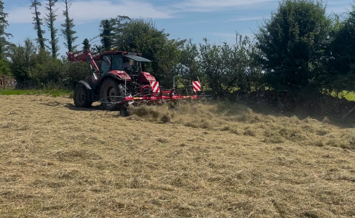 Massey Ferguson Tedder TD524 - Image 4