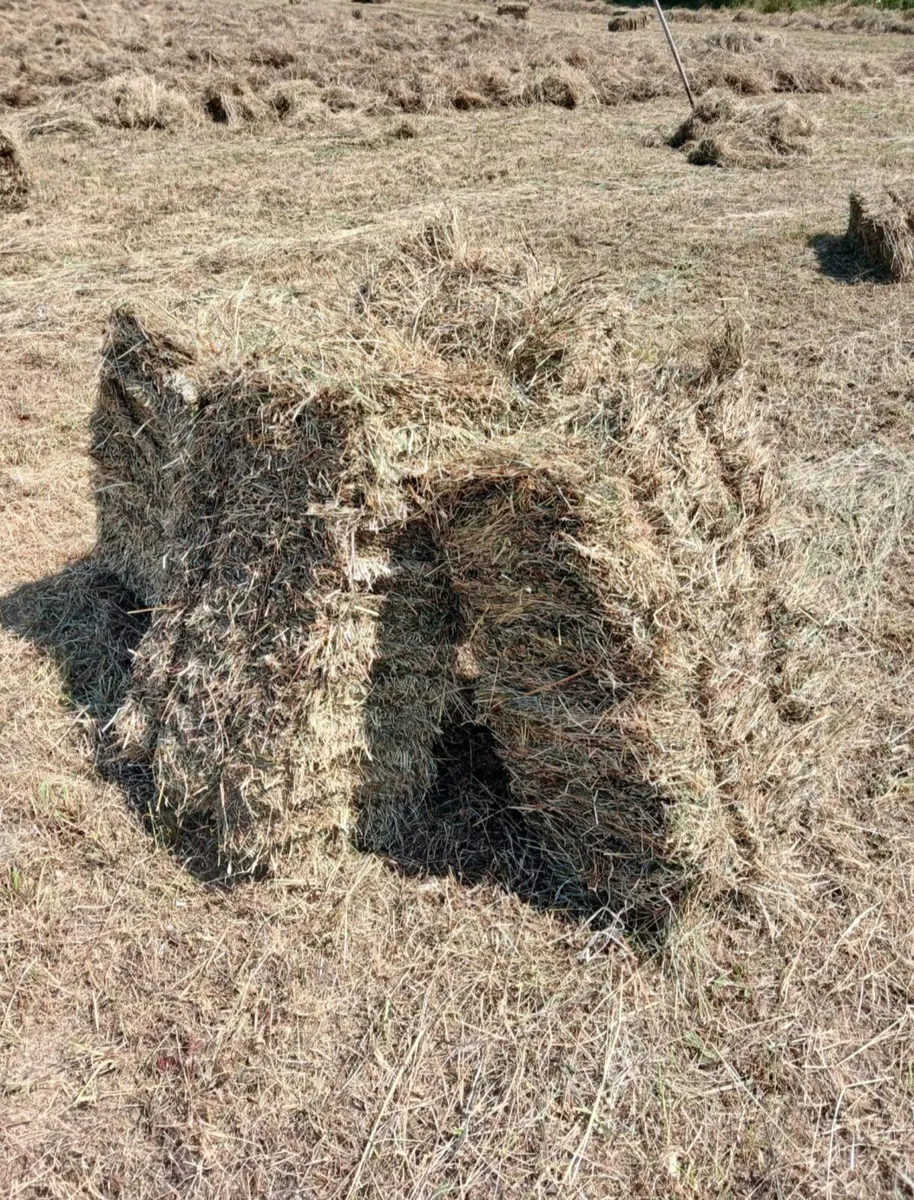 Square bales