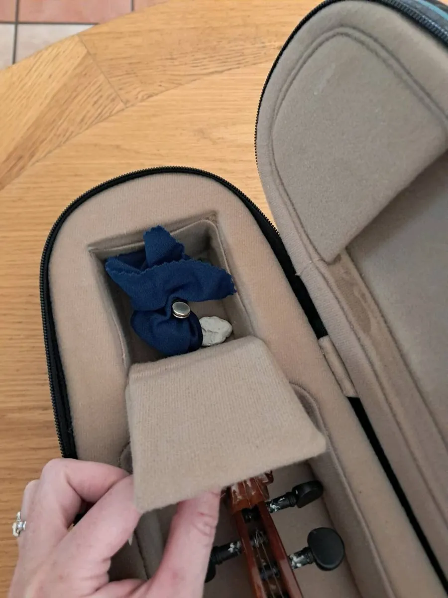 Beginner child fiddle & case - Image 2