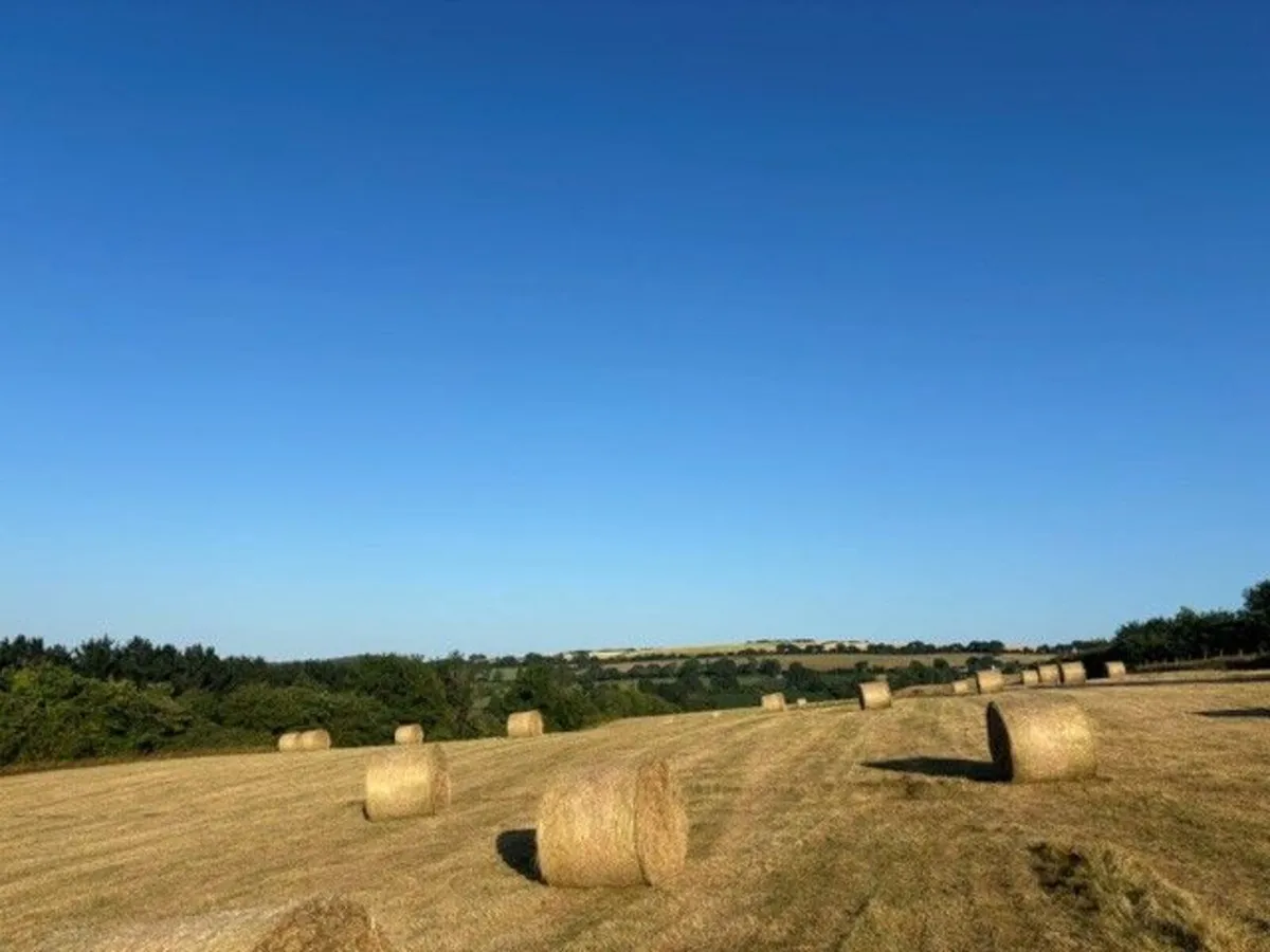 Quality Organic Hay