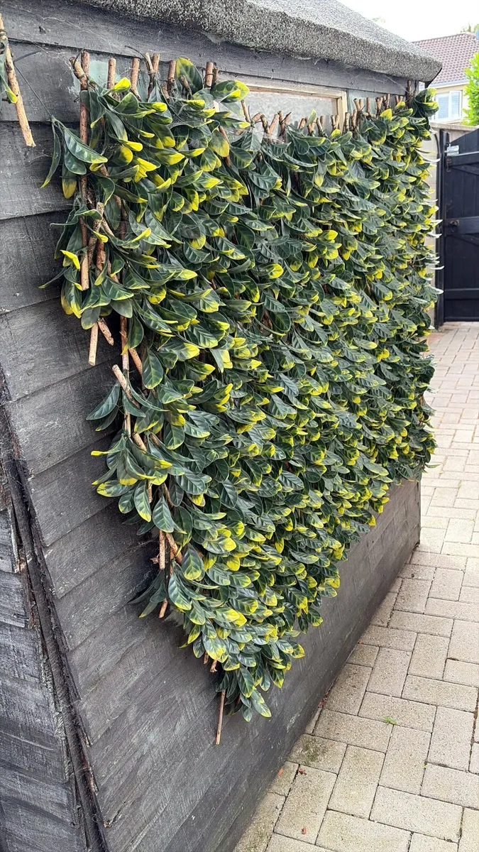 FREE garden shed - Image 3