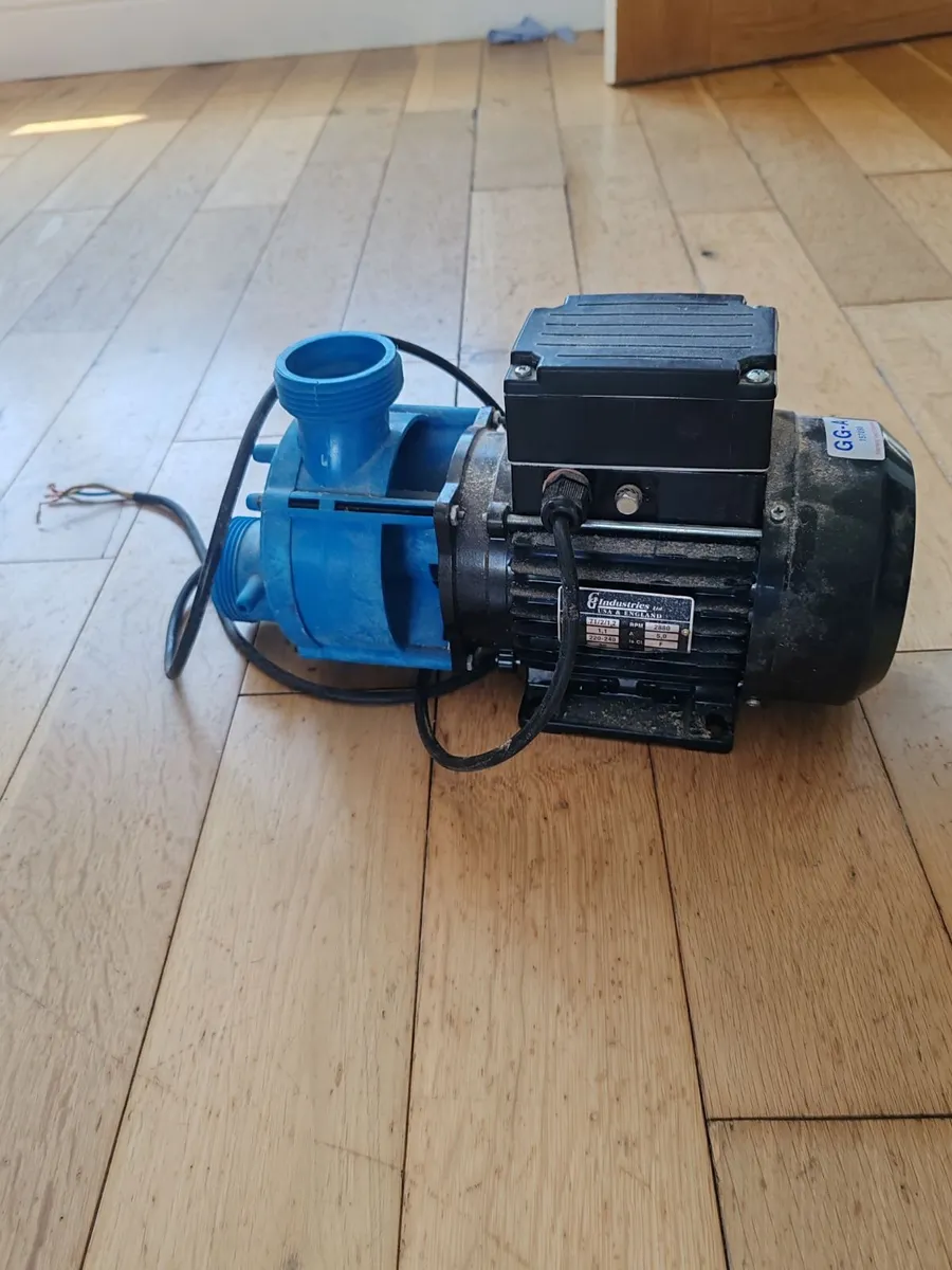 Jacuzzi pump - Image 2