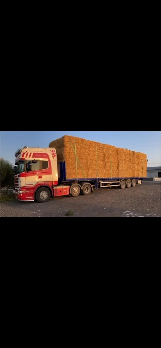 Straw bales round and square - Image 2