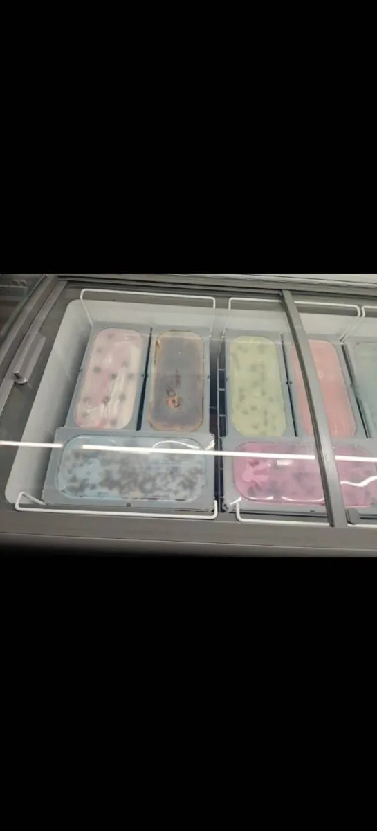 Ice Cream Freezer - Image 4