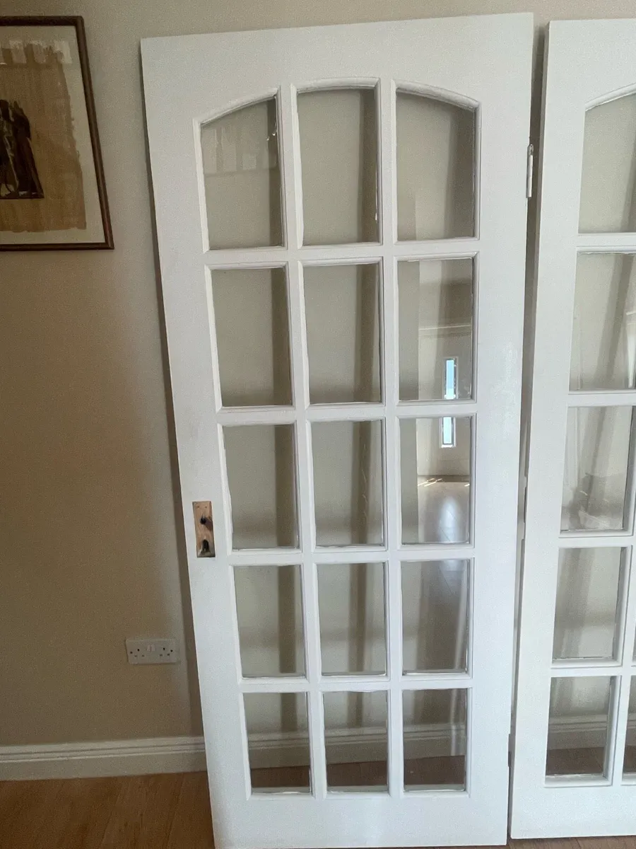 Double glass panel doors - Image 3