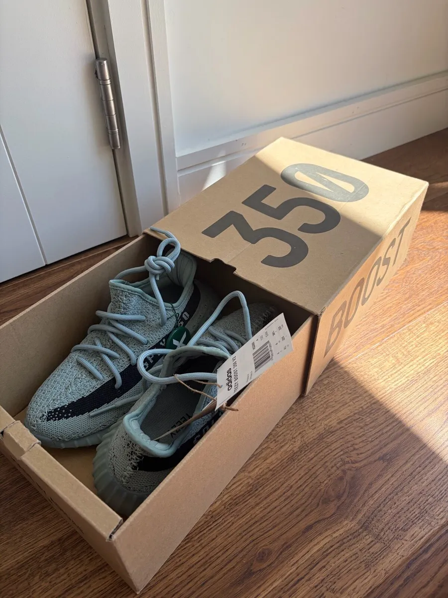 Adidas Yeezy boost 350 V2 (salt) shoes / runners - Image 2